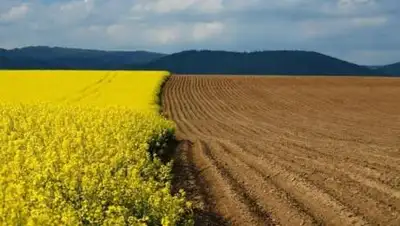 inform.kz, фото - Новости Zakon.kz от 07.04.2021 10:58