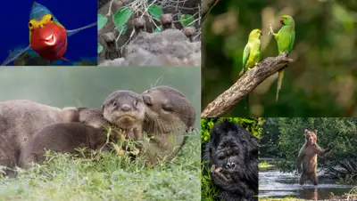 cameralabs.org, фото - Новости Zakon.kz от 13.09.2020 23:31