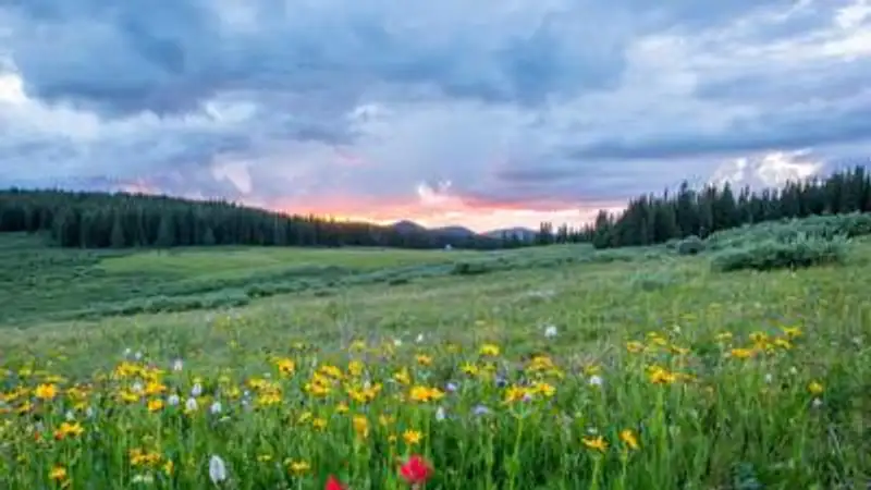 , фото - Новости Zakon.kz от 08.06.2023 13:57