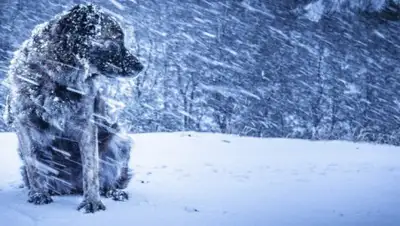 arnapress, фото - Новости Zakon.kz от 19.12.2019 13:33