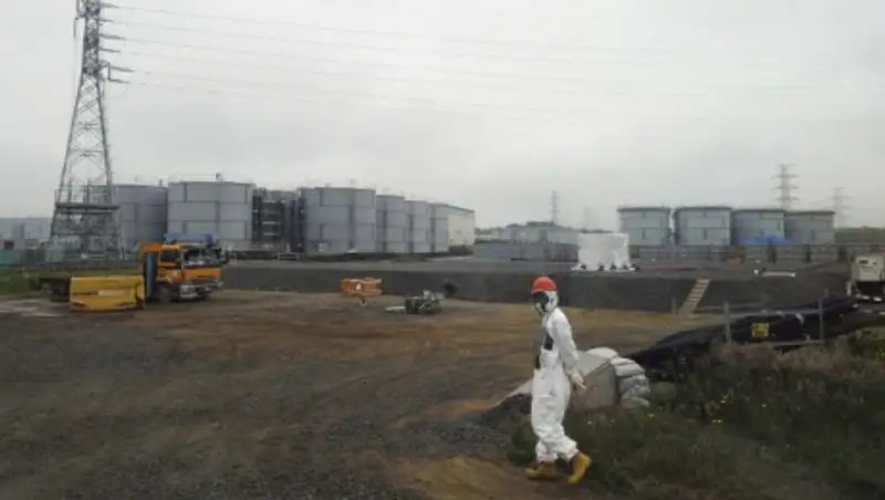 В иловых отложения рек в японской префектуре Фукусима обнаружено содержание радиации