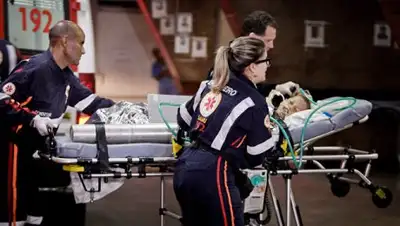 © AFP 2018 / O Tempo/ Lincon Zarbietti, фото - Новости Zakon.kz от 02.05.2018 05:58