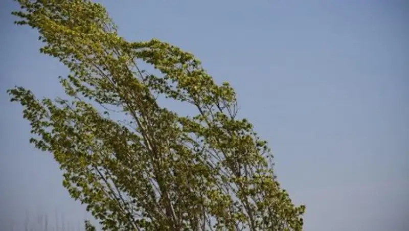 В Атырауской области ожидается сильный ветер