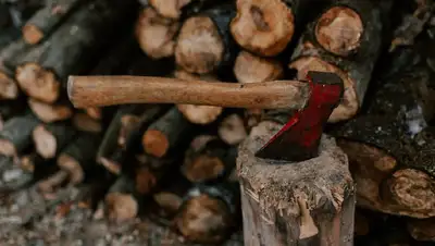 акмолинская область, тоо, исполнительный директор, убийство, полиция, комментарий, фото - Новости Zakon.kz от 28.04.2022 16:19