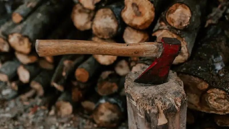 Исполнительного директора местного ТОО зарубили топором в Акмолинской области