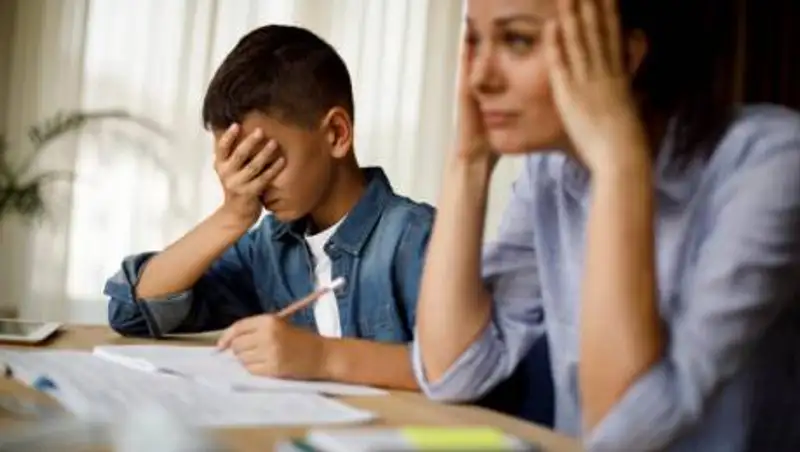 Порно включили школьникам в Усть-Каменогорске во время онлайн-урока