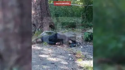 Zakon.kz, фото - Новости Zakon.kz от 17.10.2016 20:00