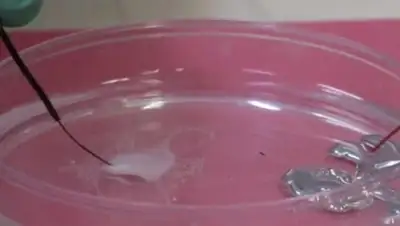 scmp.com, фото - Новости Zakon.kz от 28.10.2018 16:26