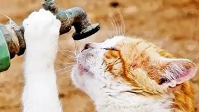 Zakon.kz, фото - Новости Zakon.kz от 02.11.2014 20:06