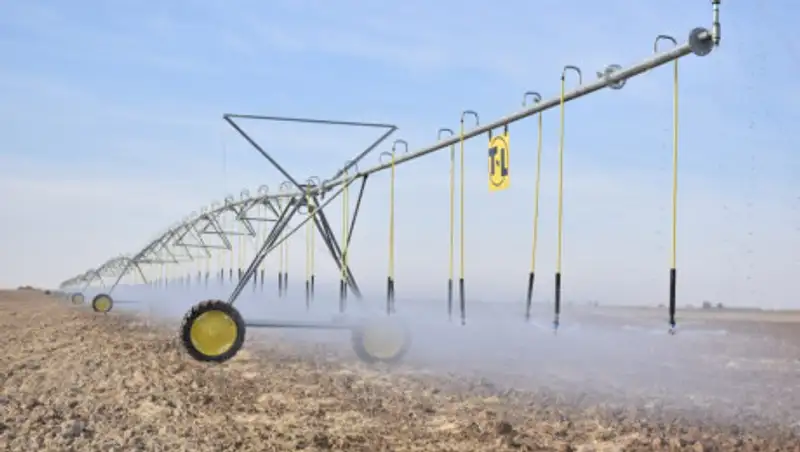В Туркестанской области внедрена американская технология дождевого полива