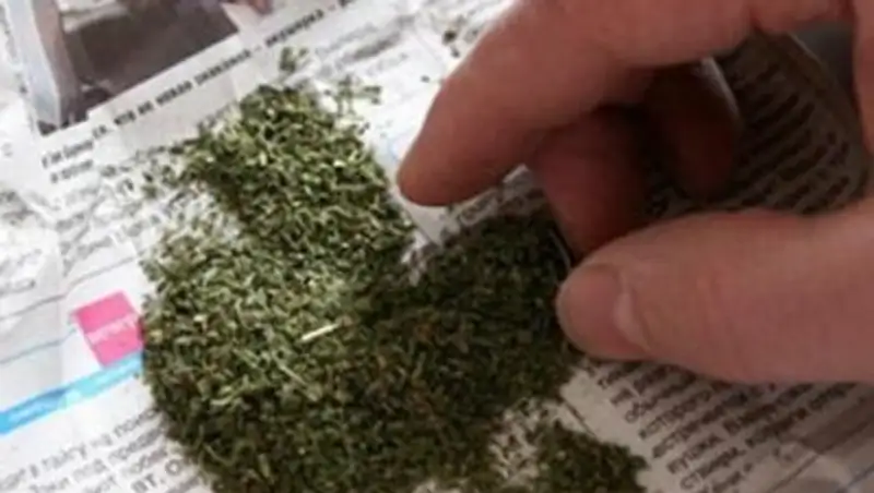 Казахстанец пытался перевезти через границу с Россией марихуану в пачках из-под чая