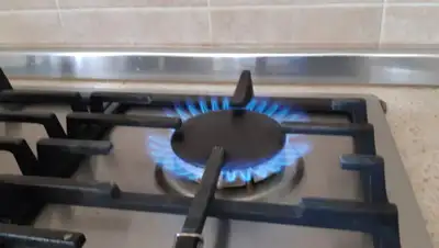 Zakon.kz, фото - Новости Zakon.kz от 22.04.2020 12:04