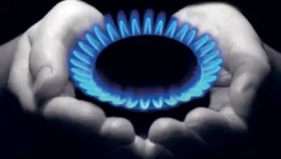 Zakon.kz, фото - Новости Zakon.kz от 11.05.2016 23:13