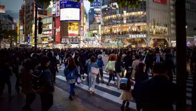 Pixabay, фото - Новости Zakon.kz от 20.06.2020 10:29