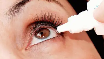 real-vin.com, фото - Новости Zakon.kz от 11.05.2019 09:00