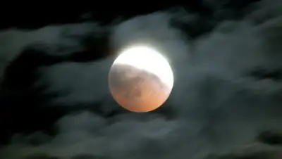 Zakon.kz, фото - Новости Zakon.kz от 02.04.2015 19:20