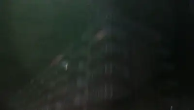 Zakon.kz, фото - Новости Zakon.kz от 05.12.2015 17:30