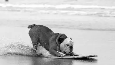 Zakon.kz, фото - Новости Zakon.kz от 30.10.2015 18:48