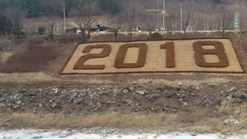 В Южной Корее вырубили заповедный лес ради Олимпийских игр