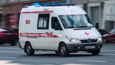 zakon.kz., фото - Новости Zakon.kz от 25.03.2020 08:52