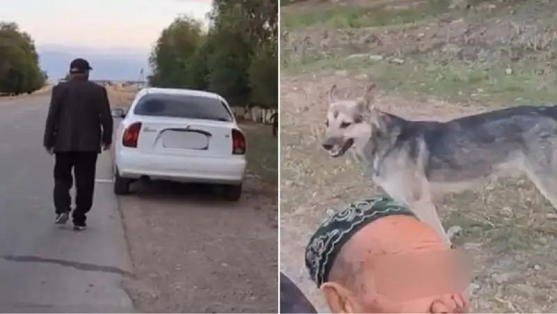 В Алматинской области сбили пенсионера на велосипеде и скрылись с места ДТП