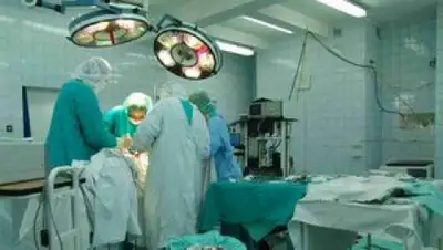 Wikipedia, фото - Новости Zakon.kz от 09.11.2018 07:38