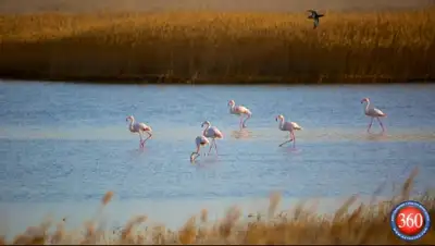 Zakon.kz, фото - Новости Zakon.kz от 04.04.2015 16:20