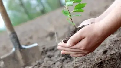 zakon.kz, фото - Новости Zakon.kz от 05.09.2018 16:14