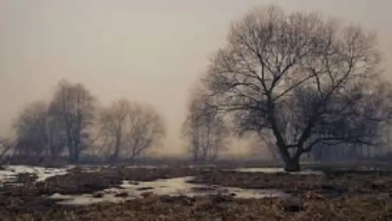 Осадки и туман сохранятся на большей части Казахстана