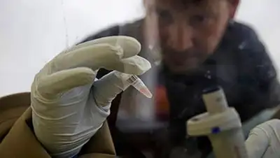 Zakon.kz, фото - Новости Zakon.kz от 15.10.2014 15:24