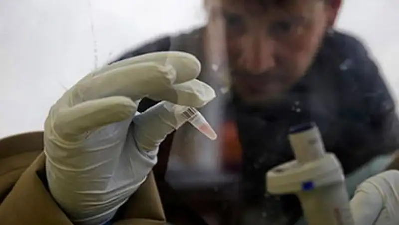 ВОЗ пообещала вакцину от вируса Эболы после весны 2015 года