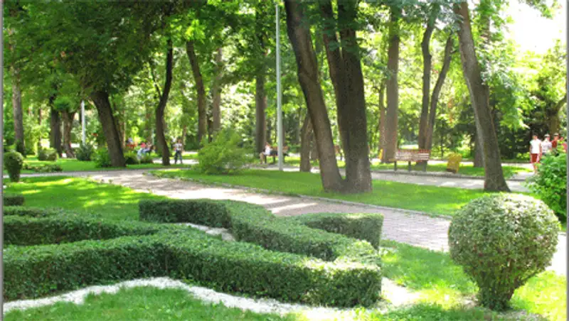 Создавать в Алматы натуральные парки предлагают общественники