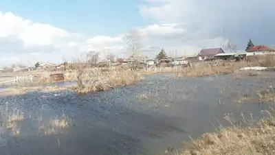 Zakon.kz, фото - Новости Zakon.kz от 04.04.2016 16:18