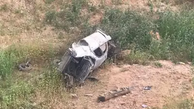 otyrar.kz, фото - Новости Zakon.kz от 25.06.2018 16:55