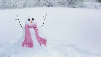 pxhere.com, фото - Новости Zakon.kz от 29.01.2021 12:07