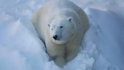 Zakon.kz, фото - Новости Zakon.kz от 21.10.2014 21:43