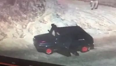 кадр из видео, фото - Новости Zakon.kz от 12.03.2021 11:15