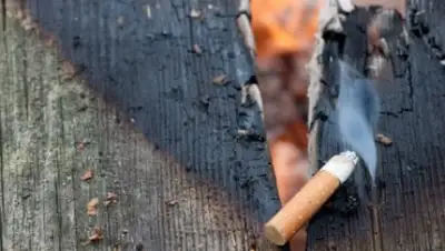 02.mchs.gov.ru, фото - Новости Zakon.kz от 22.04.2018 14:11