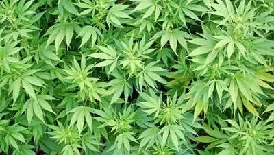 Zakon.kz, фото - Новости Zakon.kz от 06.12.2016 20:13