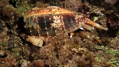 Zakon.kz, фото - Новости Zakon.kz от 22.01.2015 18:05