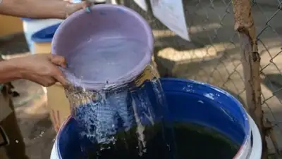 Zakon.kz, фото - Новости Zakon.kz от 13.05.2017 01:07