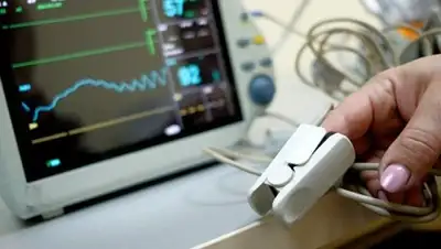 Фото: © РИА Новости / Николай Хижняк, фото - Новости Zakon.kz от 01.12.2017 21:56