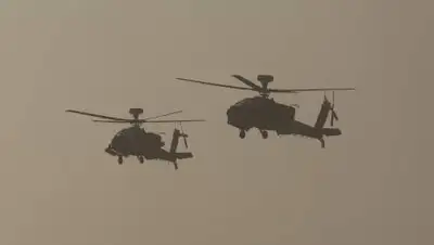 pixabay.com, фото - Новости Zakon.kz от 24.08.2021 12:40