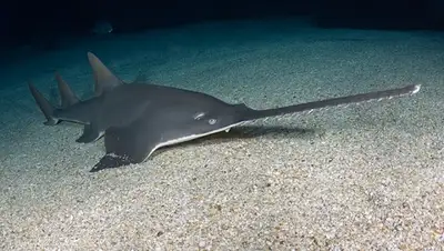 Zakon.kz, фото - Новости Zakon.kz от 03.06.2015 01:38