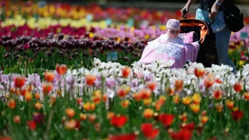 Женщина продала своего ребенка за 200 тыс тг и комплект сережек в ЮКО