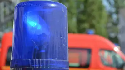 Pixabay, фото - Новости Zakon.kz от 11.09.2020 22:38