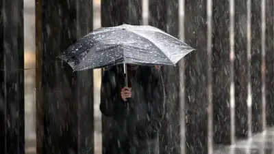 Zakon.kz, фото - Новости Zakon.kz от 29.05.2017 12:01