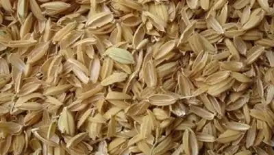 Zakon.kz, фото - Новости Zakon.kz от 15.05.2015 16:45