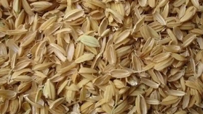 Крупную партию рисовой шелухи из Казахстана пытались незаконно ввезти на территорию РФ