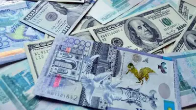 prodengi.kz, фото - Новости Zakon.kz от 16.10.2018 20:20